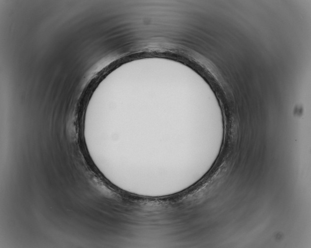 X0000101231018200807251129