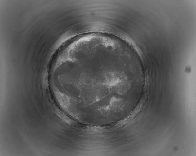 X0000101231019200807251129