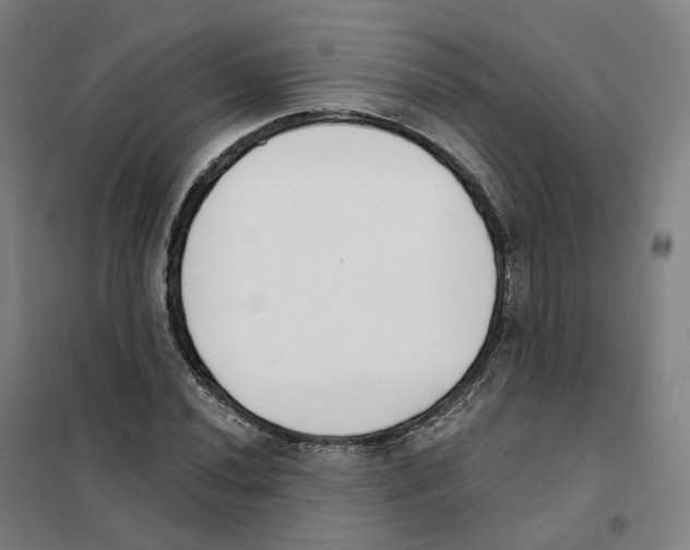 X0000101231020200807251129
