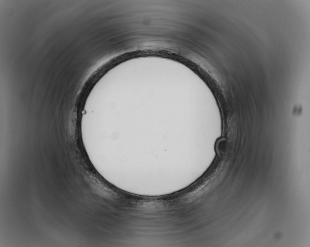 X0000101231021200807251129