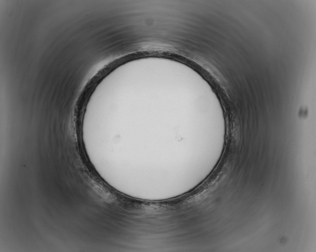 X0000101231022200807251129