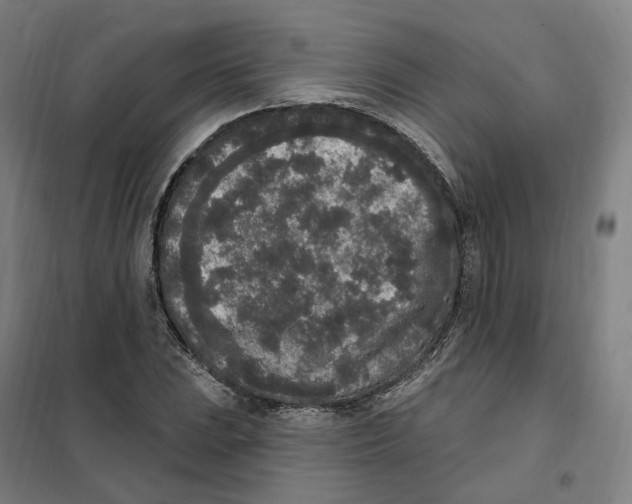 X0000101231023200807251129