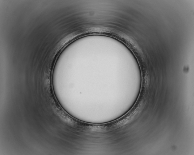 X0000101231025200807251129