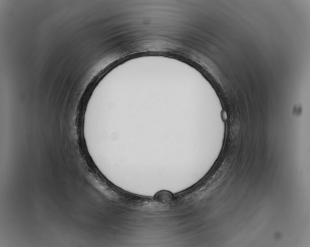 X0000101231026200807251129