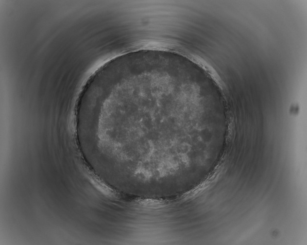 X0000101231027200807251129
