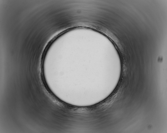 X0000101231028200807251129
