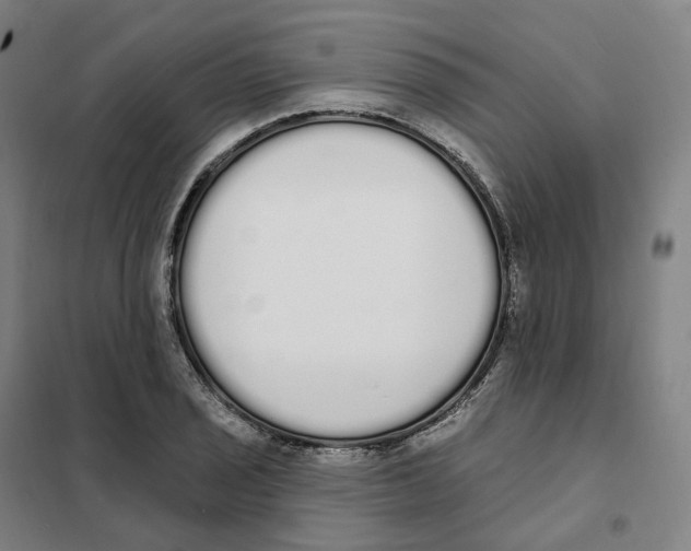 X0000101231029200807251129