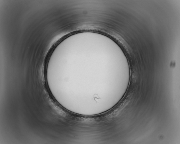 X0000101231030200807251129