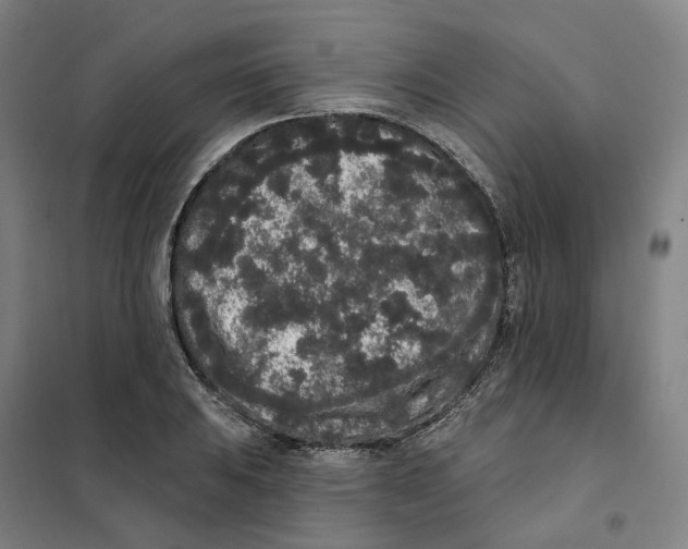 X0000101231031200807251129