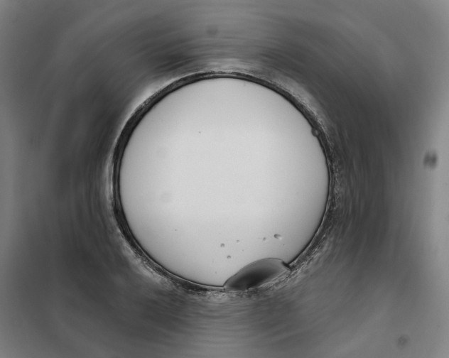 X0000101231032200807251129