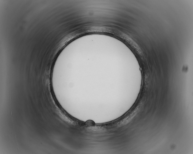 X0000101231033200807251129
