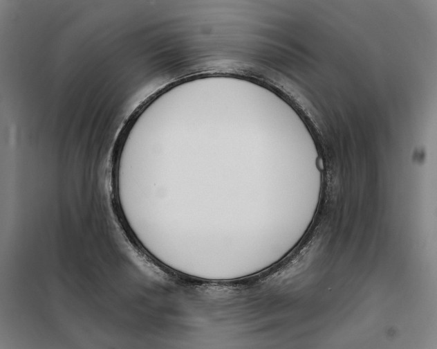 X0000101231034200807251129