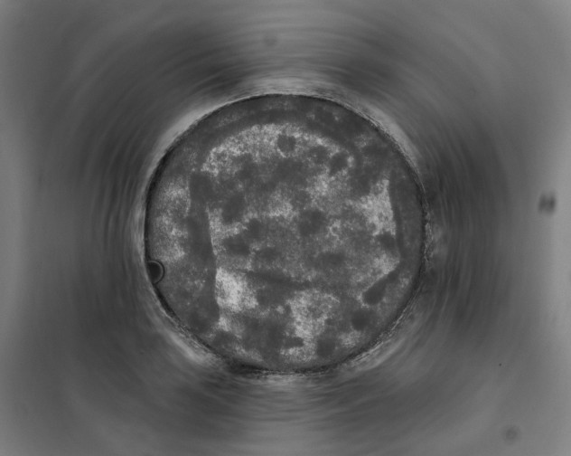X0000101231035200807251129
