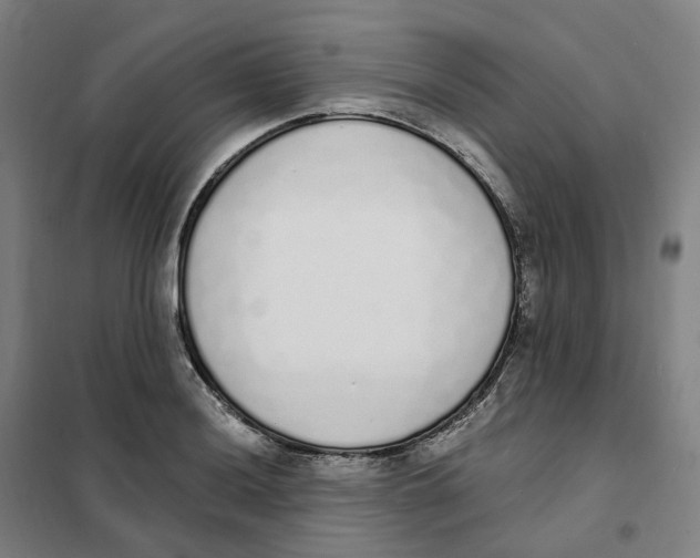X0000101231036200807251129