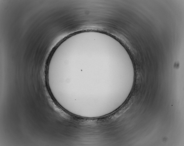 X0000101231038200807251129