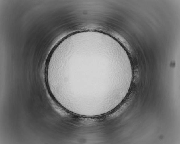 X0000101231039200807251129