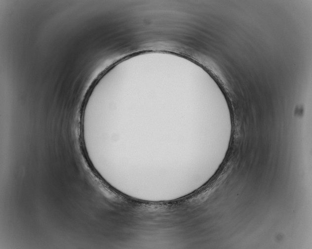 X0000101231040200807251129