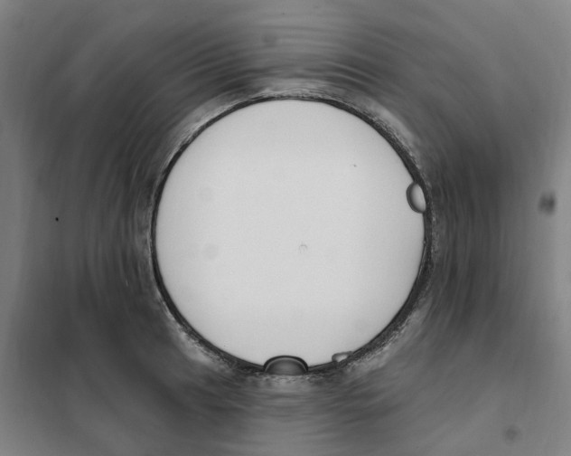 X0000101231041200807251129