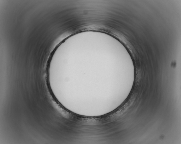 X0000101231042200807251129