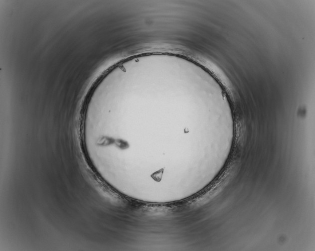 X0000101231043200807251129