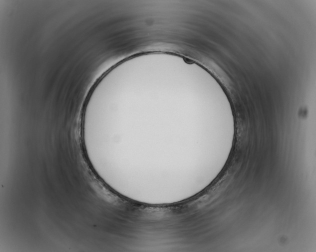 X0000101231044200807251129