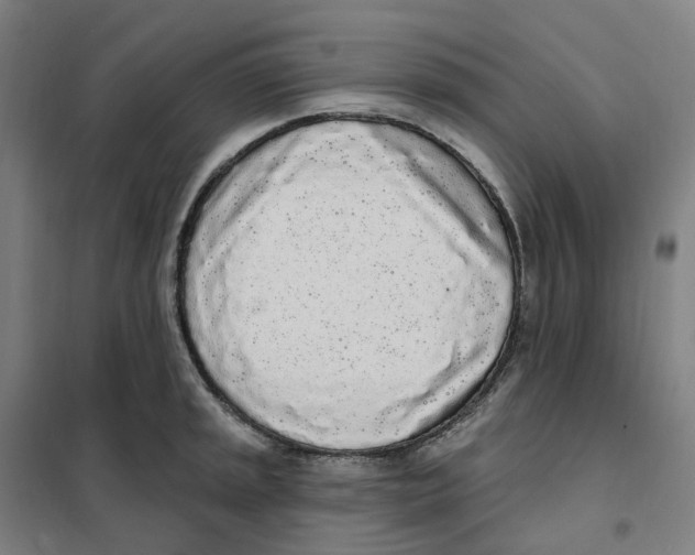X0000101231045200807251129