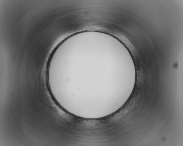 X0000101231046200807251129