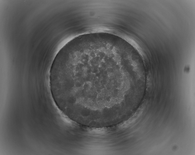 X0000101231047200807251129