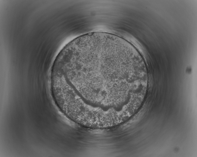 X0000101231048200807251129