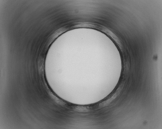 X0000101231049200807251129