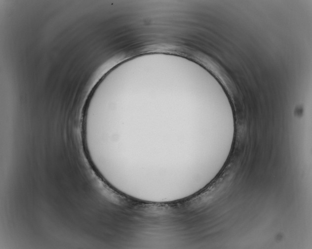 X0000101231050200807251129