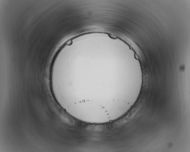 X0000101231051200807251130