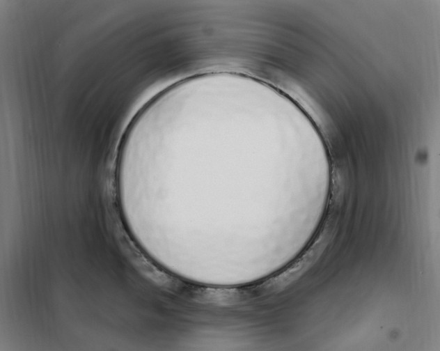 X0000101231052200807251130