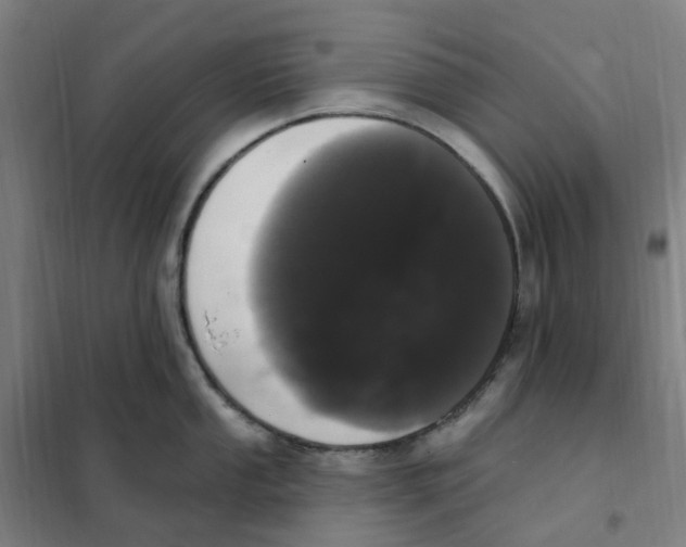 X0000101231053200807251130