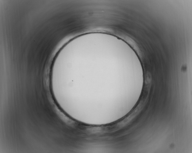 X0000101231054200807251130