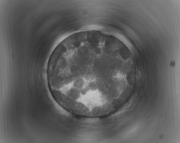 X0000101231055200807251130