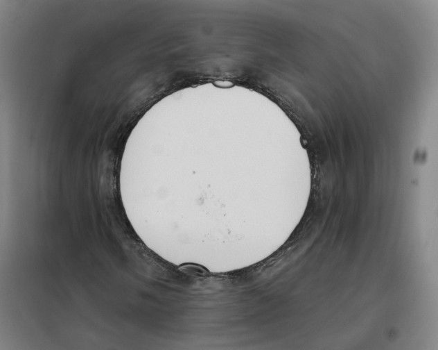 X0000101231058200807251129