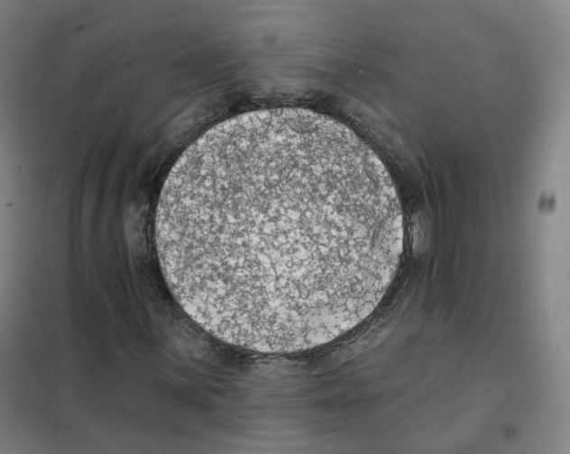 X0000101231059200807251129