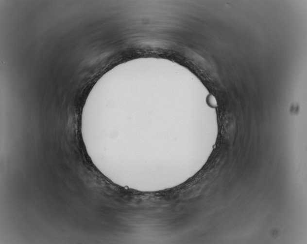 X0000101231061200807251129