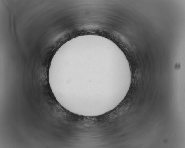 X0000101231062200807251129