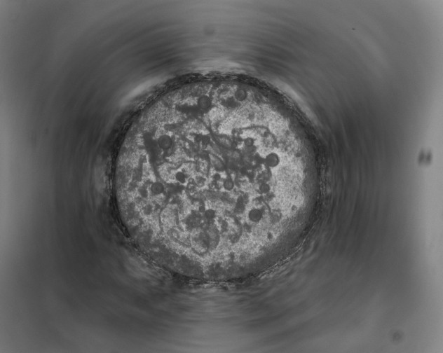 X0000101231063200807251129