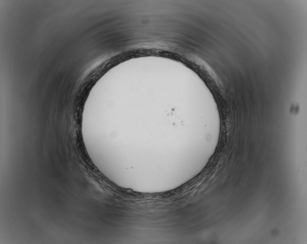 X0000101231064200807251129