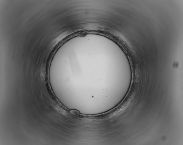 X0000101231065200807251129