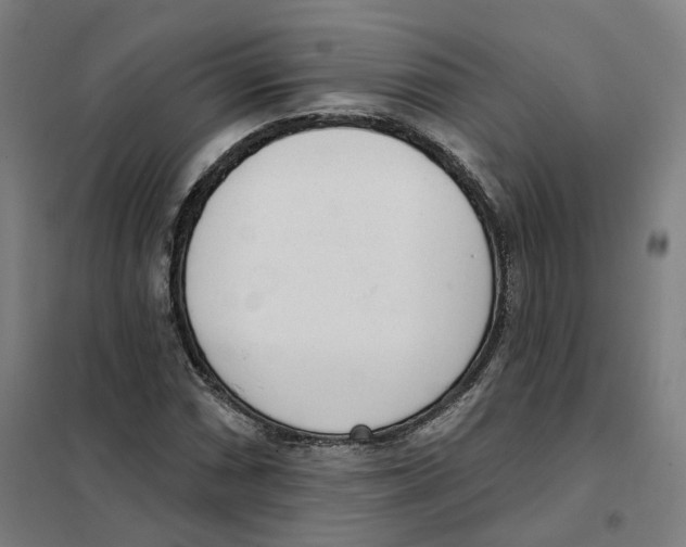 X0000101231066200807251129