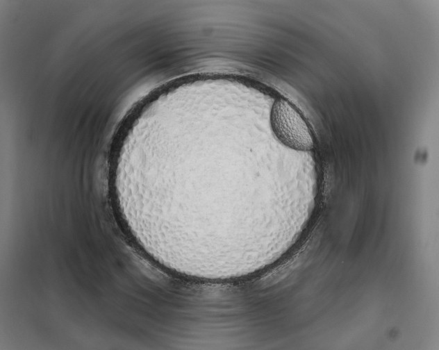 X0000101231067200807251129