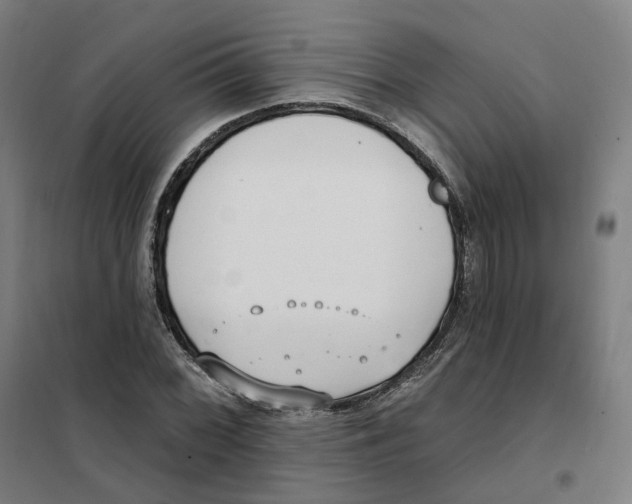X0000101231068200807251129
