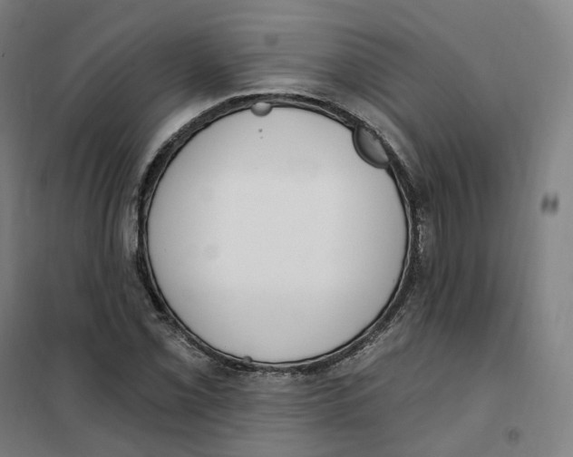 X0000101231069200807251129