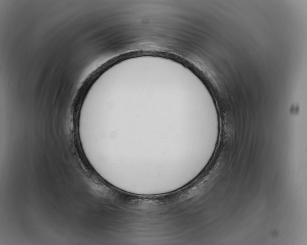 X0000101231070200807251129