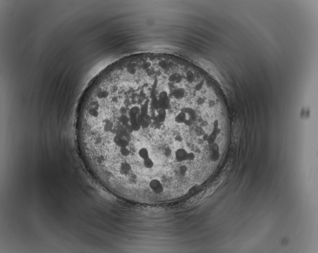 X0000101231071200807251129