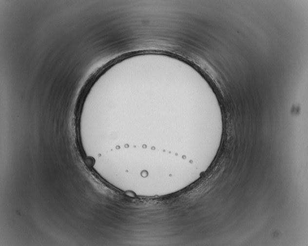 X0000101231072200807251129